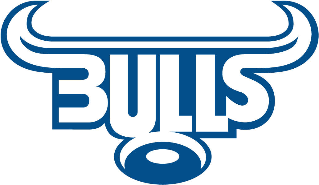 Bulls 1997-Pres Primary Logo iron on transfers for clothing